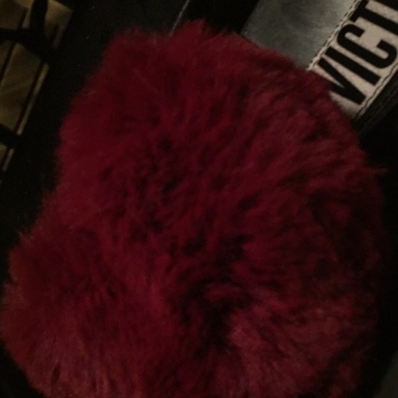 Meet your Posher, Meesha - Picture 1 of 1